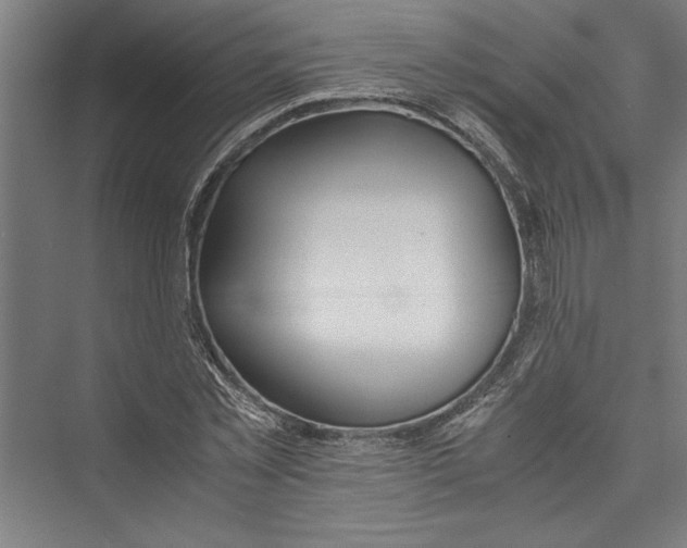 X0000075410781200610061956