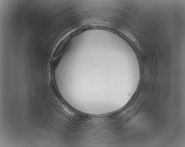 X0000075410782200610061956