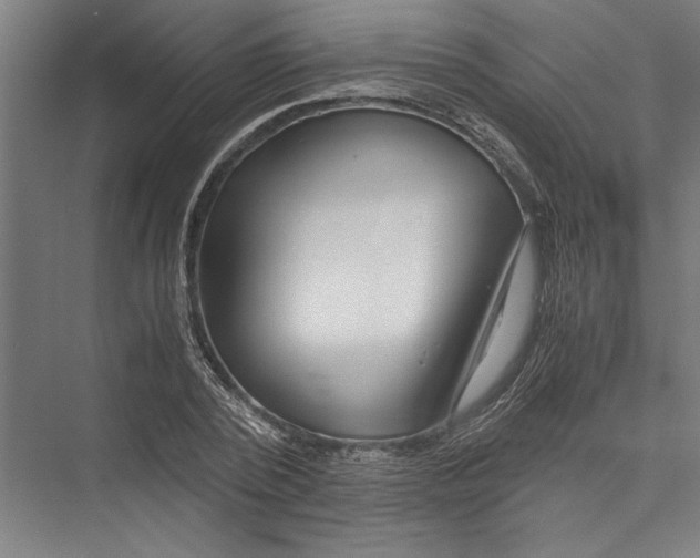 X0000075410784200610061956