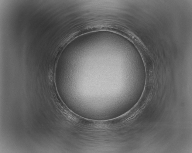 X0000075410785200610061956