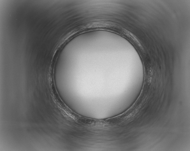 X0000075410786200610061956