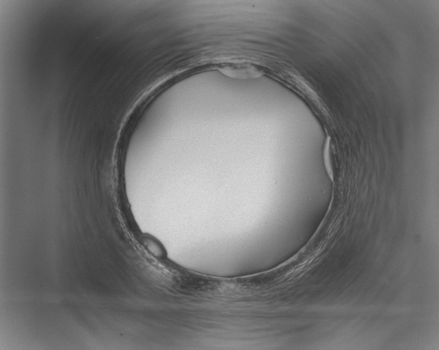 X0000075410787200610061956