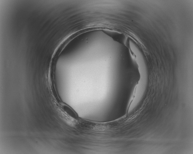 X0000075410788200610061956