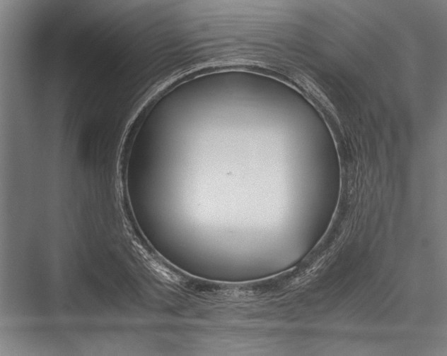 X0000075410789200610061956