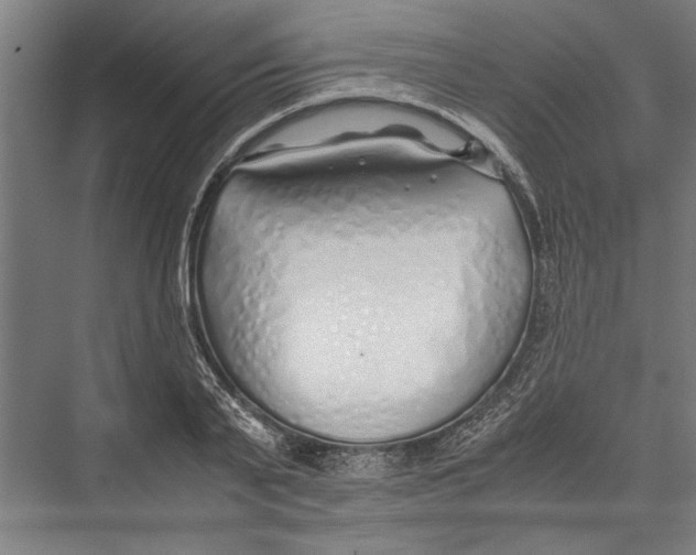 X0000075410791200610061956