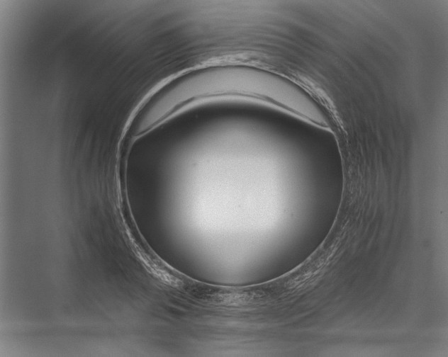 X0000075410792200610061956