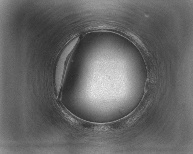 X0000075410793200610061956