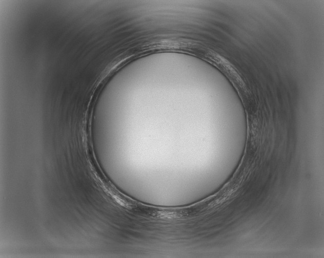 X0000075410794200610061956