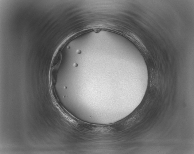 X0000075410796200610061956