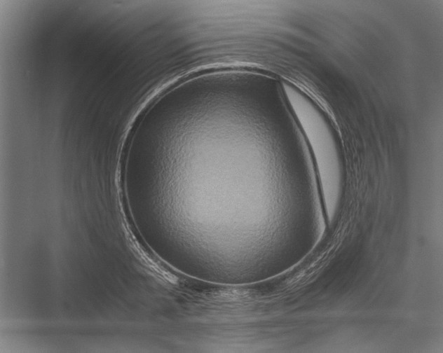 X0000075410797200610061956