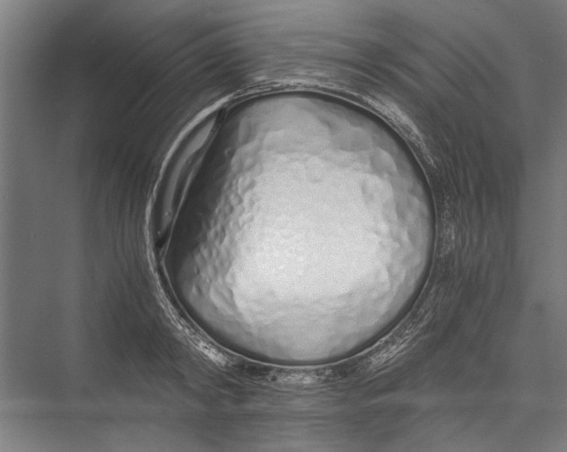 X0000075410798200610061956