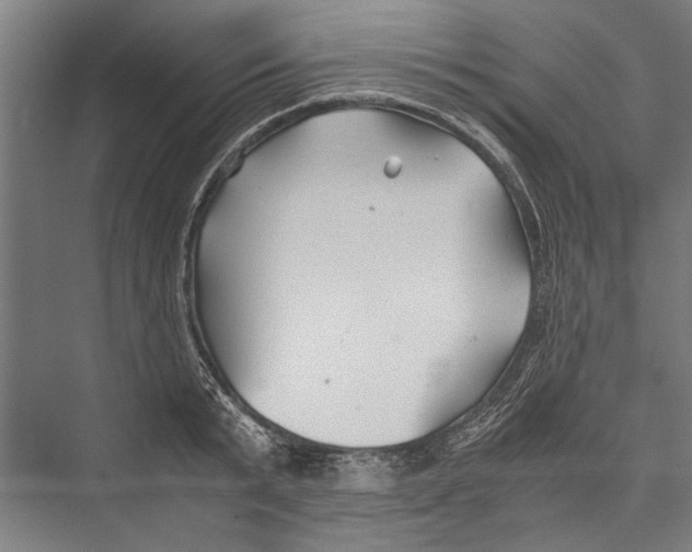 X0000075410799200610061956