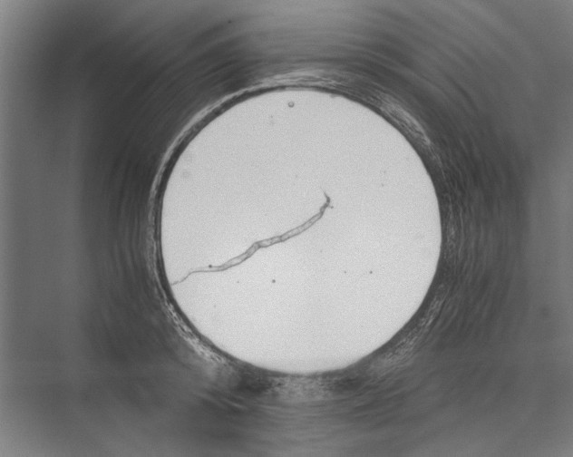 X0000075410800200610061956