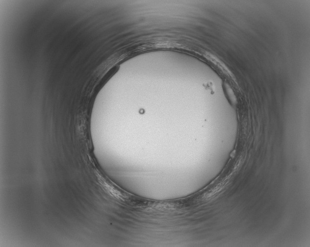 X0000075410801200610061956