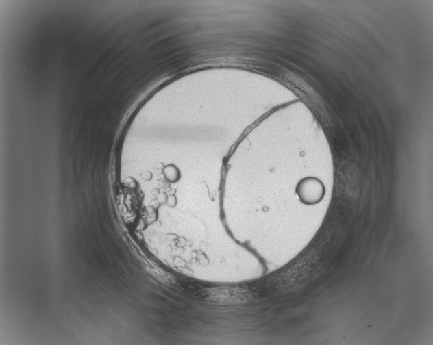 X0000075410804200610061956