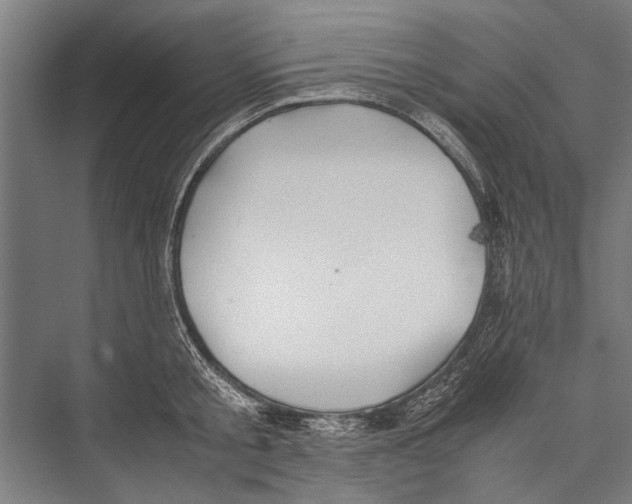 X0000075410805200610061956