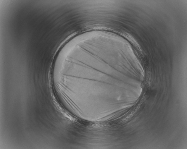 X0000075410806200610061956