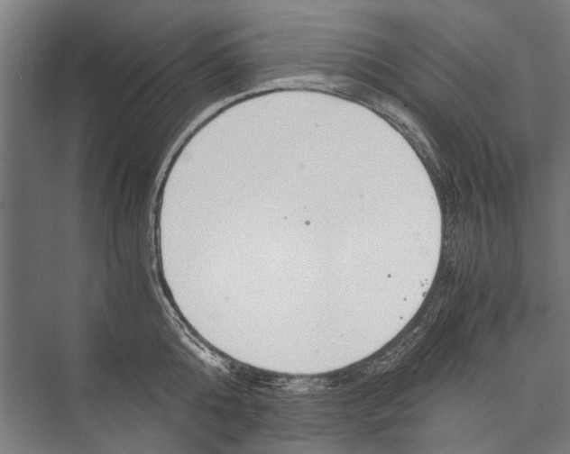 X0000075410808200610061956