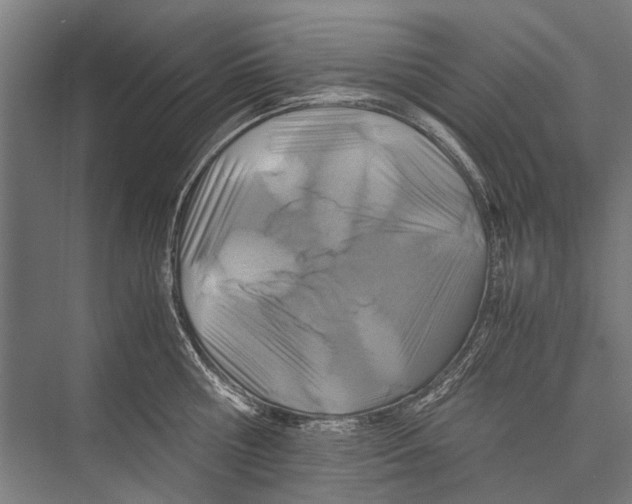 X0000075410810200610061956