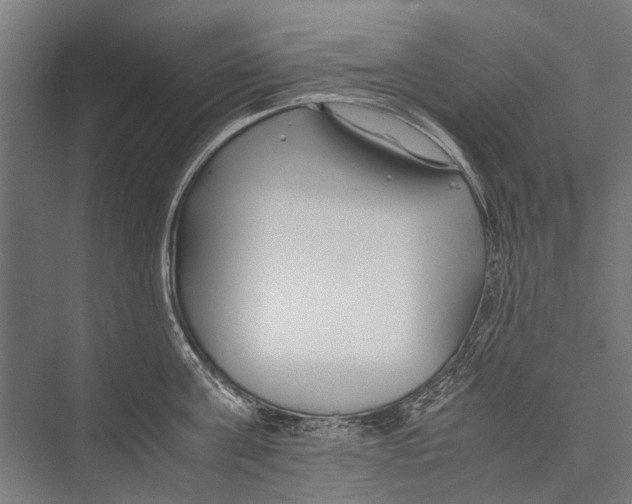 X0000075410811200610061956