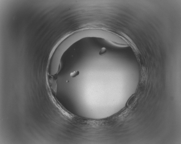 X0000075410812200610061956