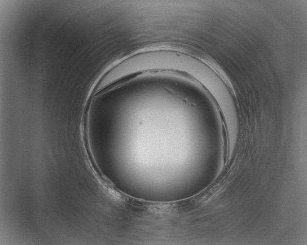 X0000075410813200610061956