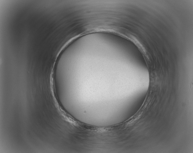 X0000075410814200610061956