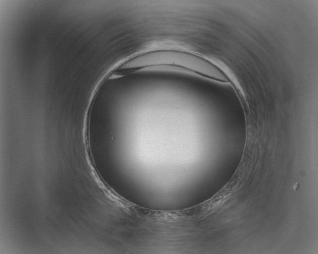 X0000075410815200610061956