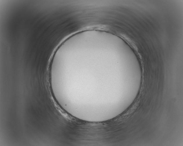 X0000075410816200610061956