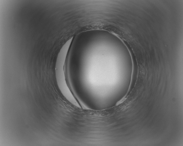 X0000075410818200610061955