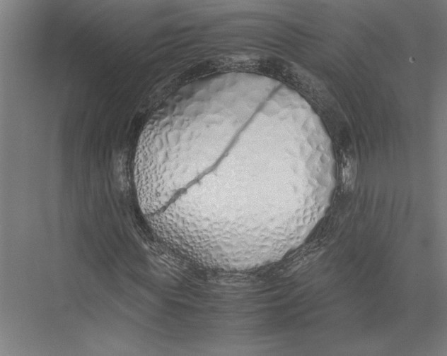 X0000075410819200610061955