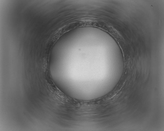 X0000075410821200610061955