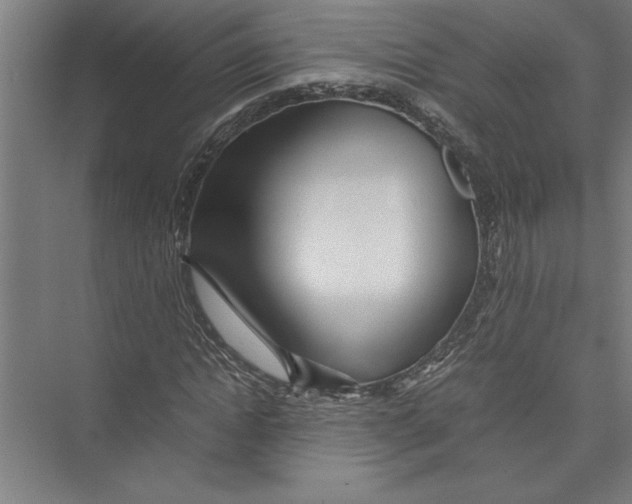 X0000075410822200610061955