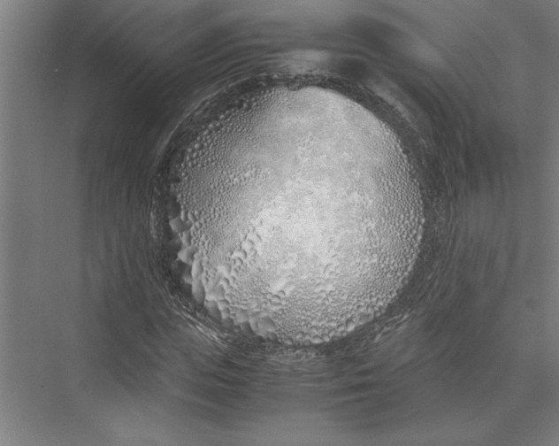 X0000075410823200610061955