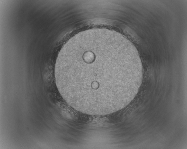 X0000075410824200610061955