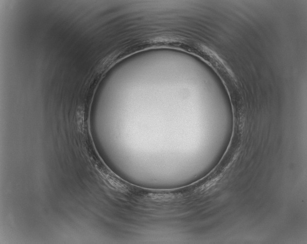 X0000075410825200610061955