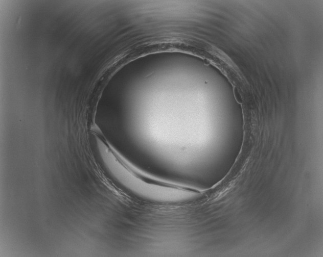 X0000075410826200610061955