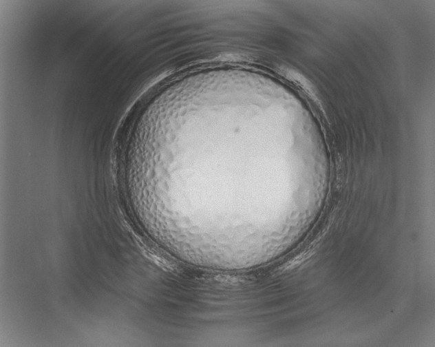 X0000075410827200610061955