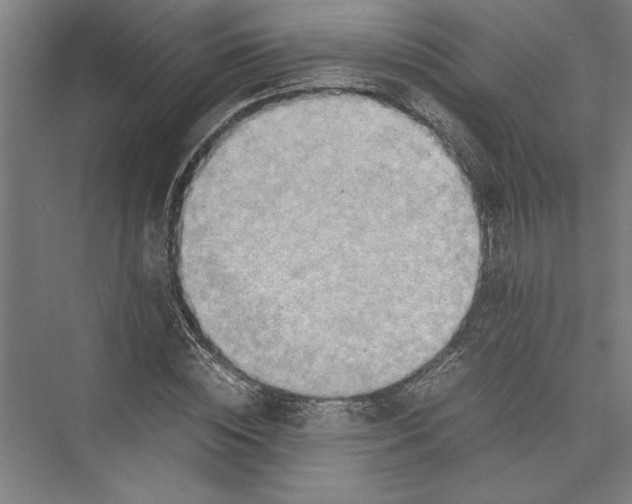 X0000075410828200610061955