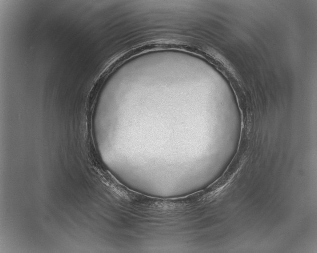 X0000075410829200610061955