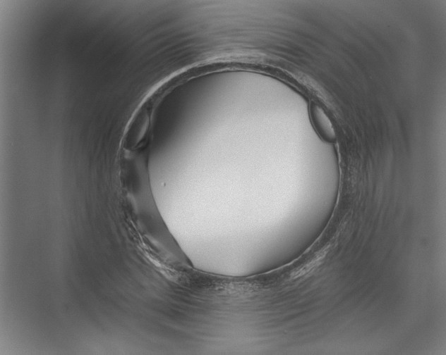 X0000075410830200610061955