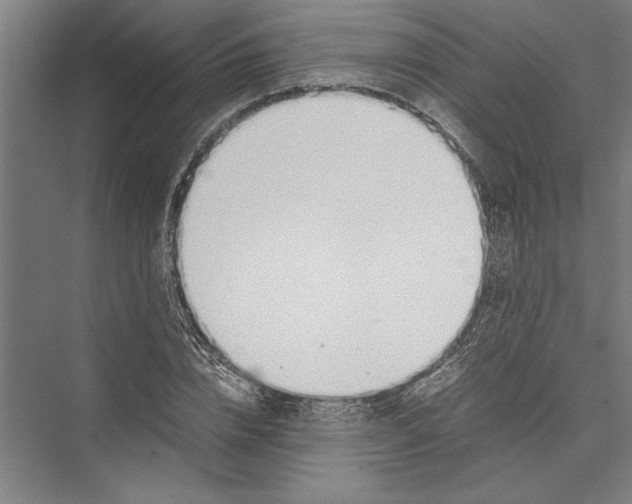 X0000075410832200610061955