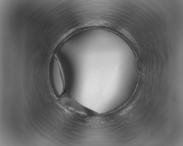 X0000075410834200610061955