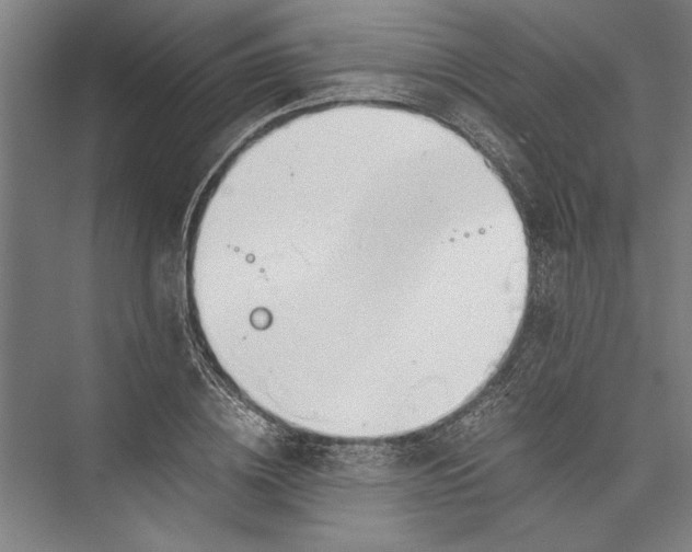 X0000075410836200610061955