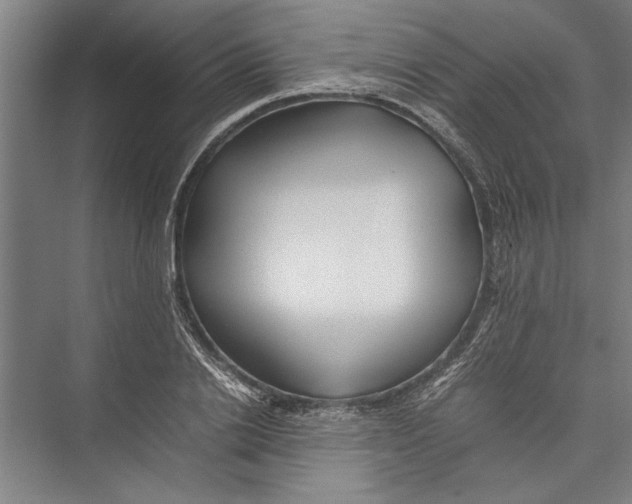 X0000075410838200610061955