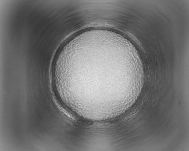 X0000075410840200610061955