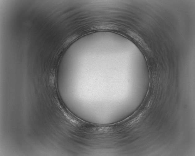 X0000075410841200610061955