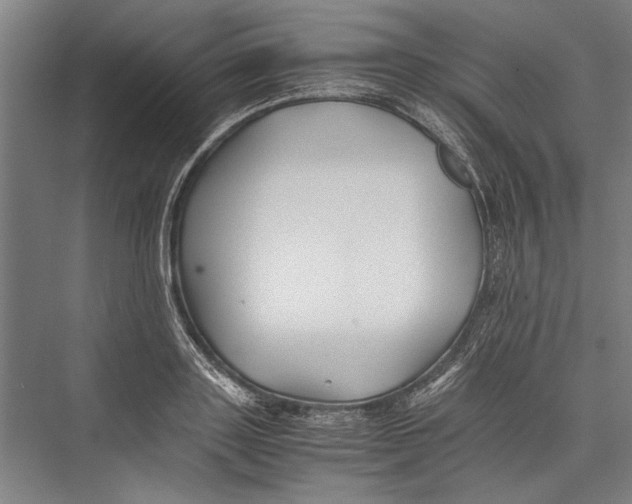 X0000075410843200610061955