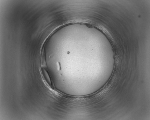 X0000075410844200610061955