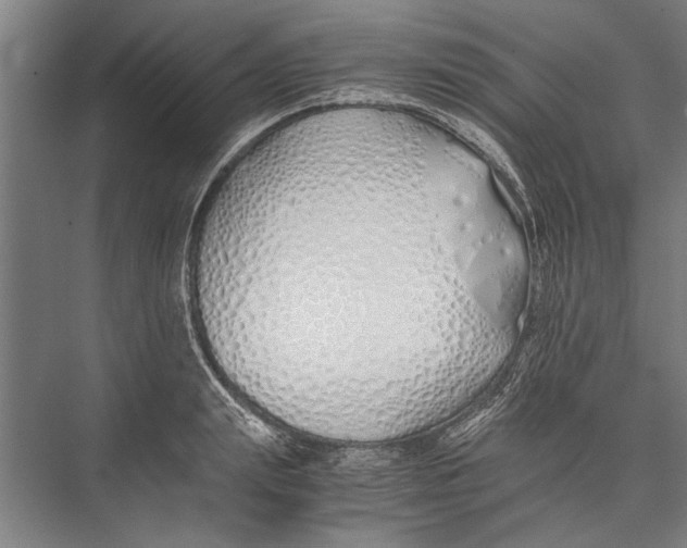 X0000075410847200610061955